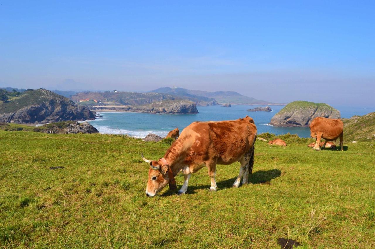Casa Las Hortensias Quintana Llanes Exteriér fotografie